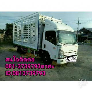 Isuzu NPR150 ปี57 รถหกล้อคอกเล็ก วิ่งน้อย ยางเต็มทุกเส้น พร้อมใช้งานค่ะ